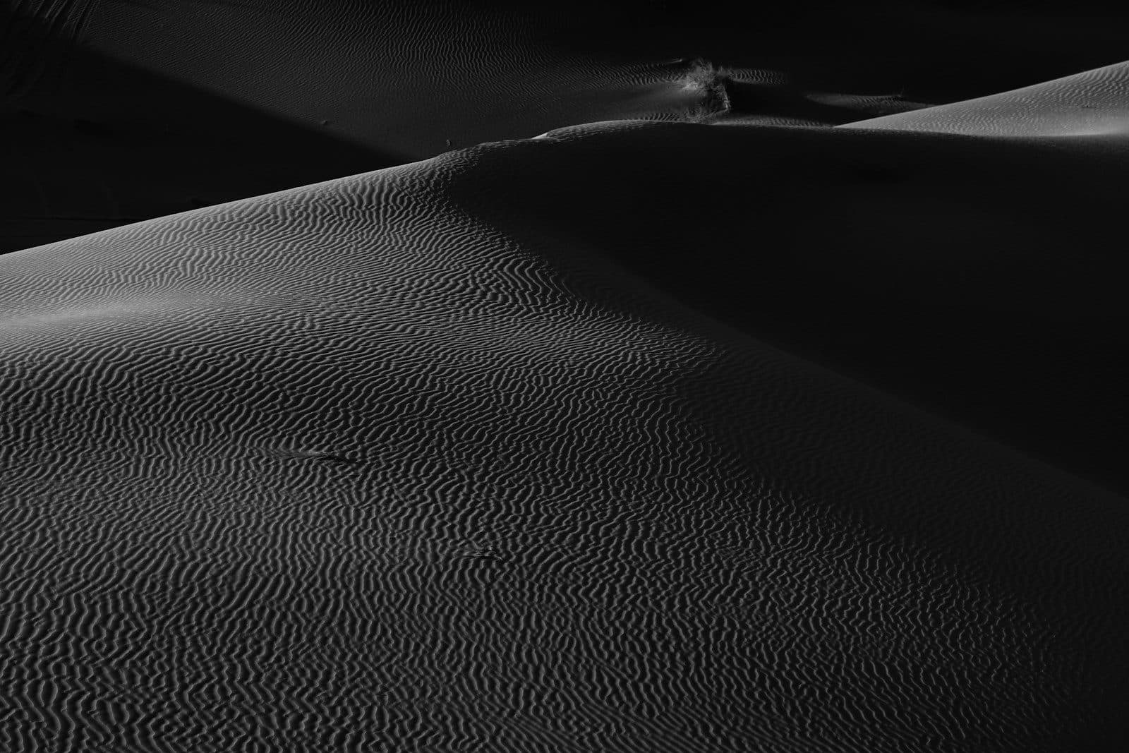 Wide signal traces over a dark ground