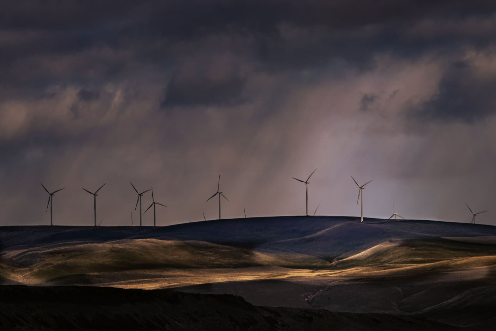 A ridgeline wind farm under a storm sky, raking golden light across the hills