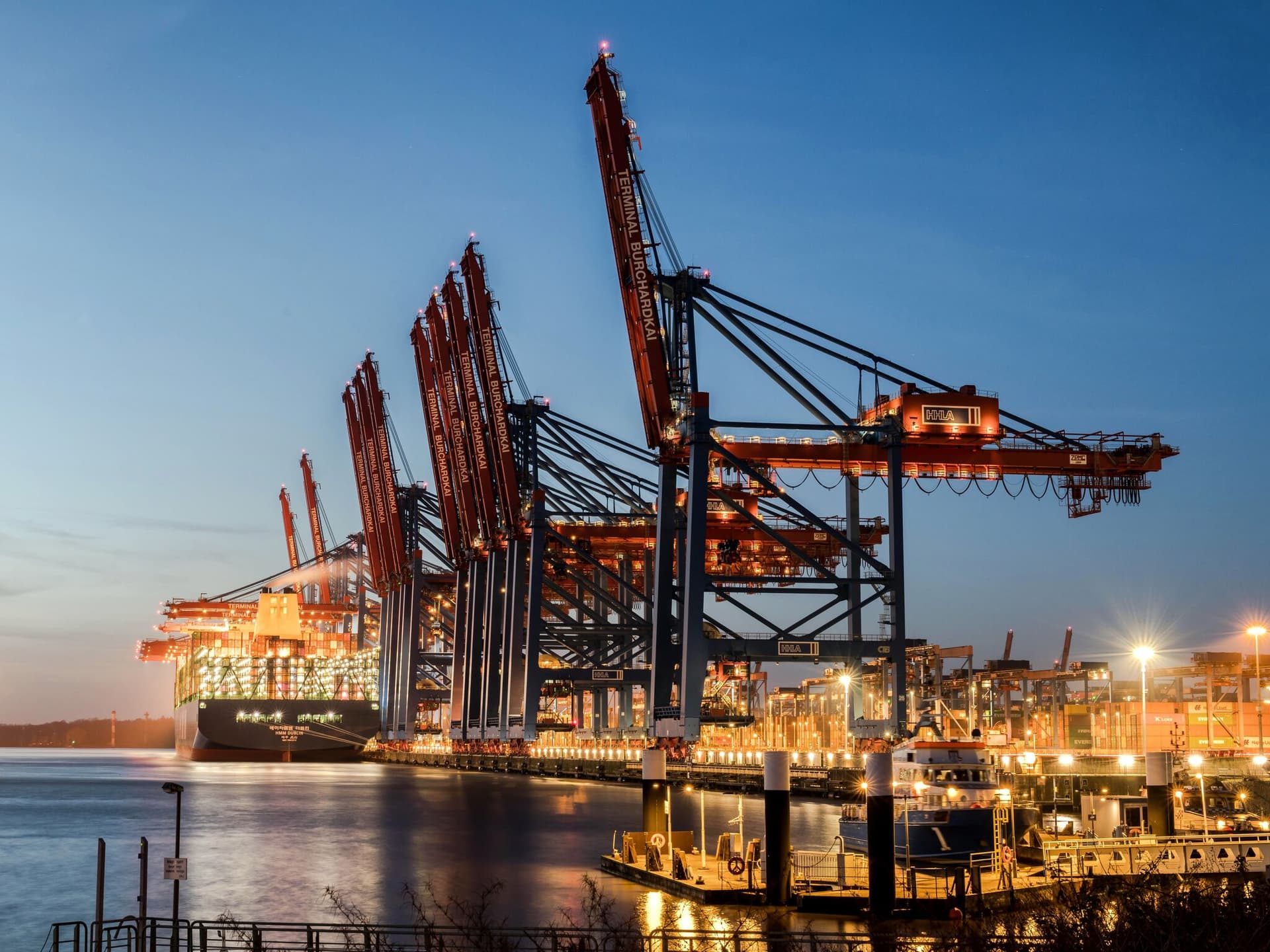 Illuminated container-terminal gantry cranes over a ship at blue hour